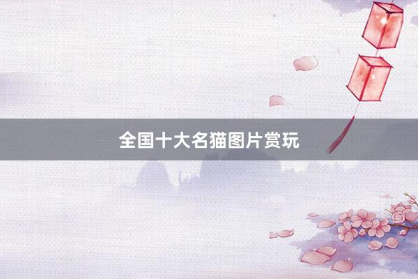 全国十大名猫图片赏玩